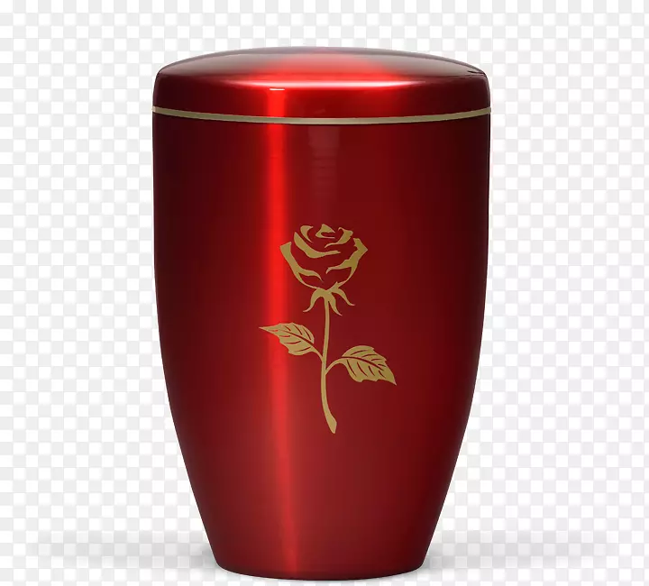 ����-���-������