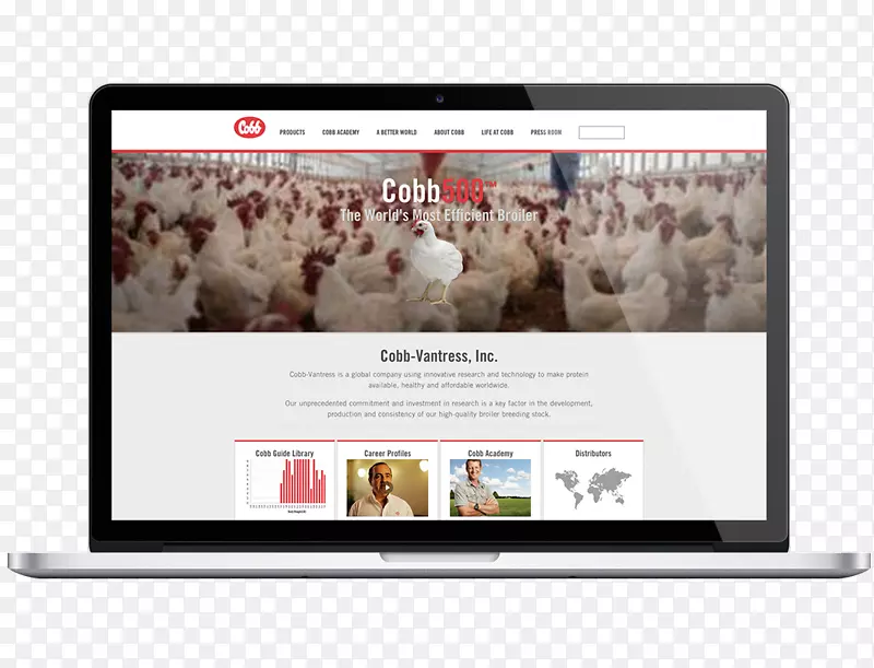 Ʒ��չʾ����ý��-����ǰհ-������