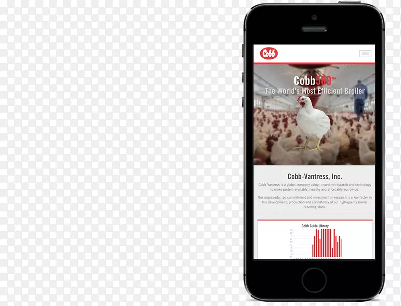 �����ֻ������������-�����ֻ�-������