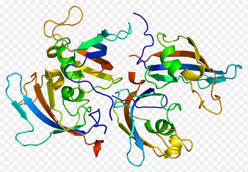 ƽ������ߵ��������-������