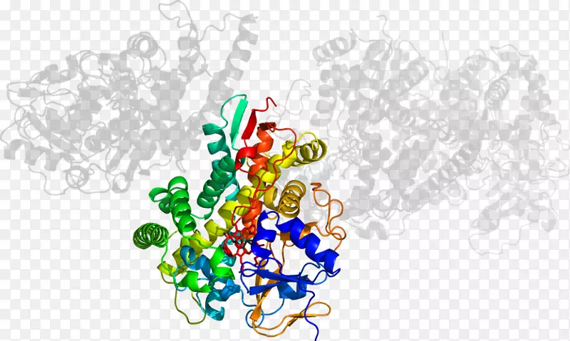 �����ֽ�������鱦��ʥ��װ��Ʒ��������.�����-������