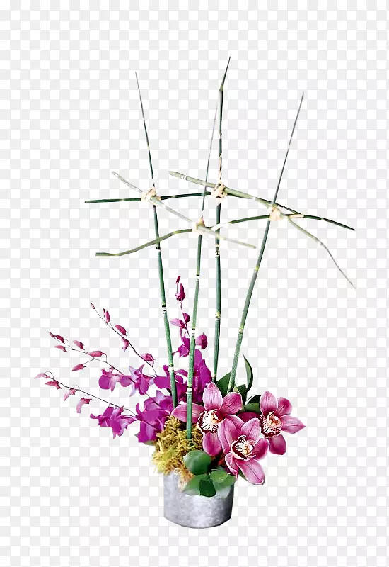 ��������л����컨����-������