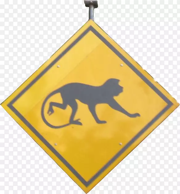 ��ͨ��־-����-������