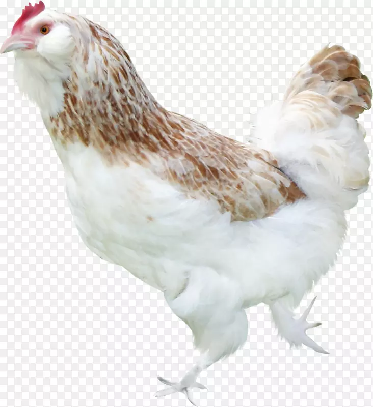 ����Ц����-��-������