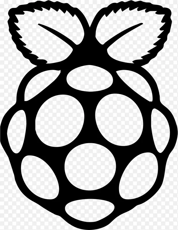 raspberry pi 3�����ͼ��-΢����-������