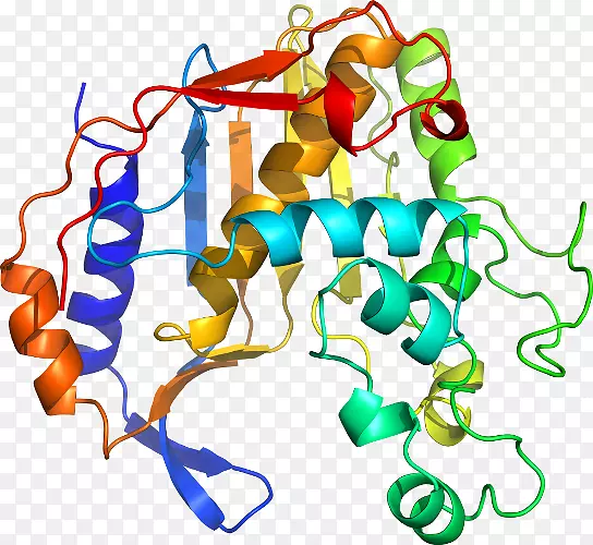 �ߵ������������-������