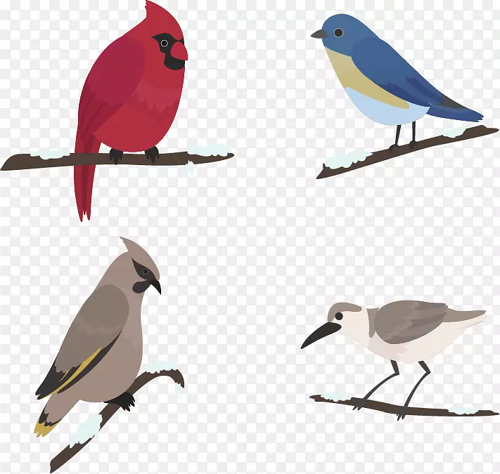 ����ѩ-��ֻ��������-������