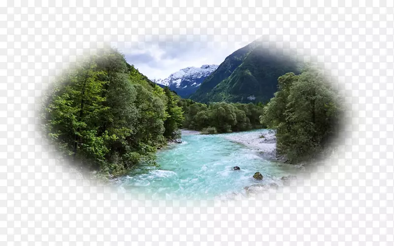 �����ֽ�������滷���������-������