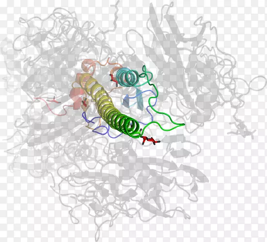 ����ͼ����ƿ�ͨ���������-������