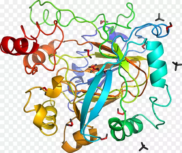 �ߵ������-��-������