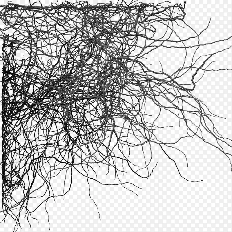 ��֦ǽֽ-����-������