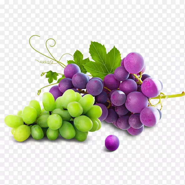 ���֭����-��������-������