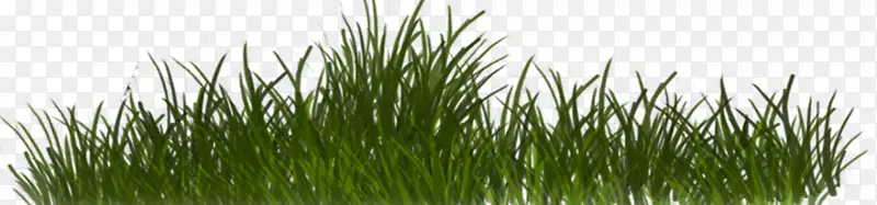 ����ݷ�װ��PostScript tiff������-������