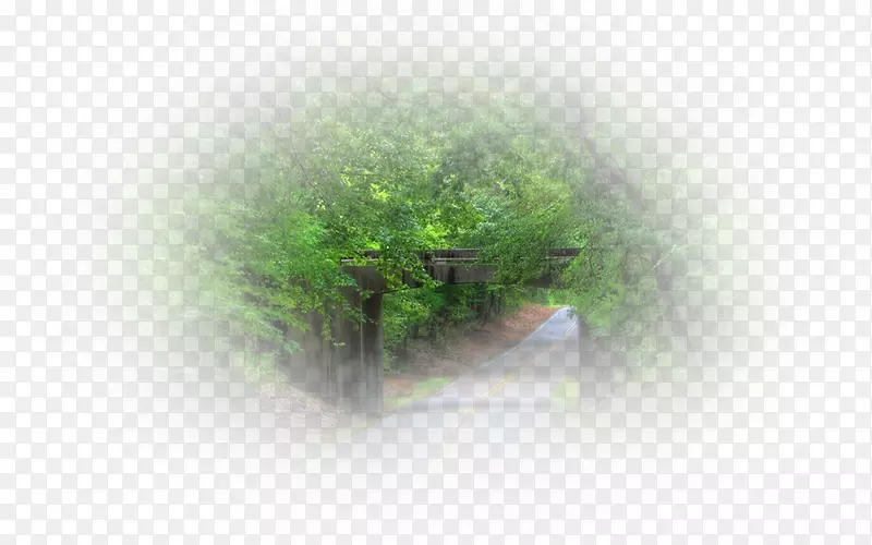 ��ɫ-������