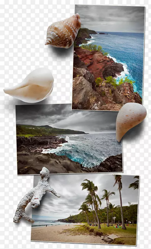 ��Ӱ�л���-�ؾ�-������