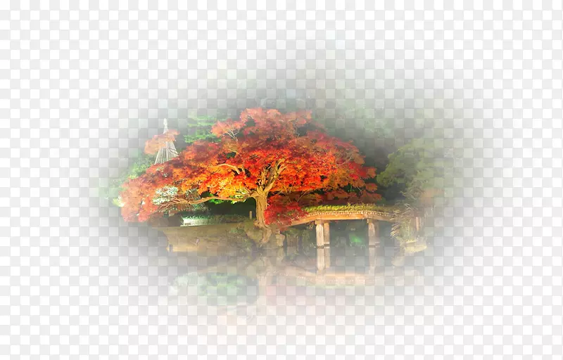 ̨ʽ��ֽ����-������