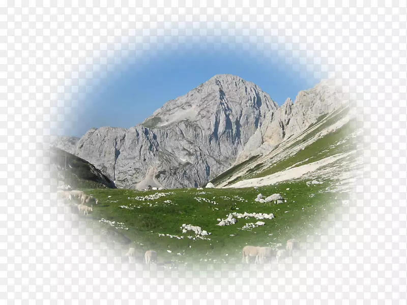 ɽ�������ֽˮ�������plc-ˮ-������