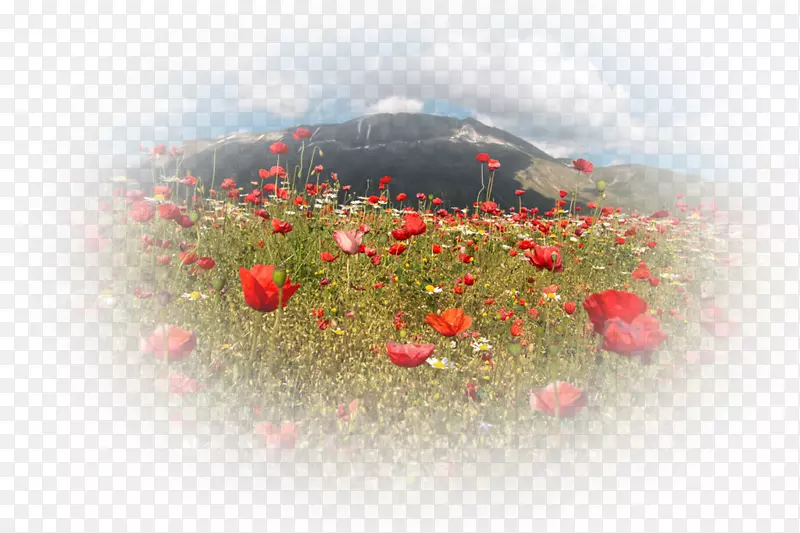 �����ֽ���Կ���ֲ�����plc-����-������