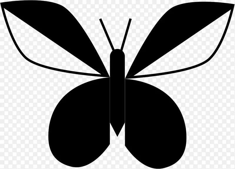 ë���׵ĺ�������ԳƼ���������-������