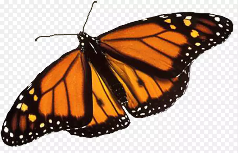 ������������Ȧ����������ˢ�����-������