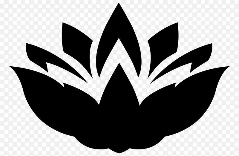 Nelumbo nucifera������-������