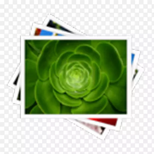 ��.��������-������