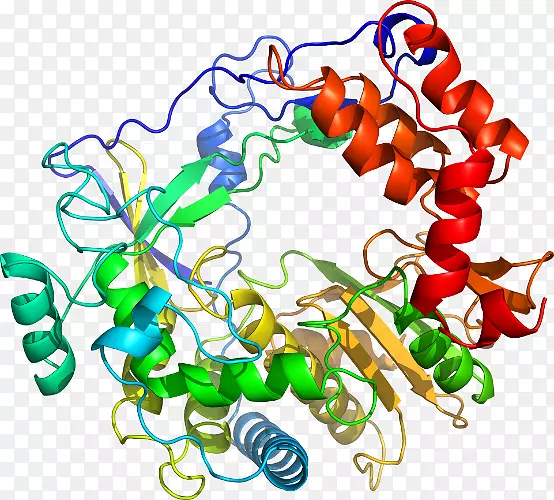 ���������鱦�л�����������鱦����-������