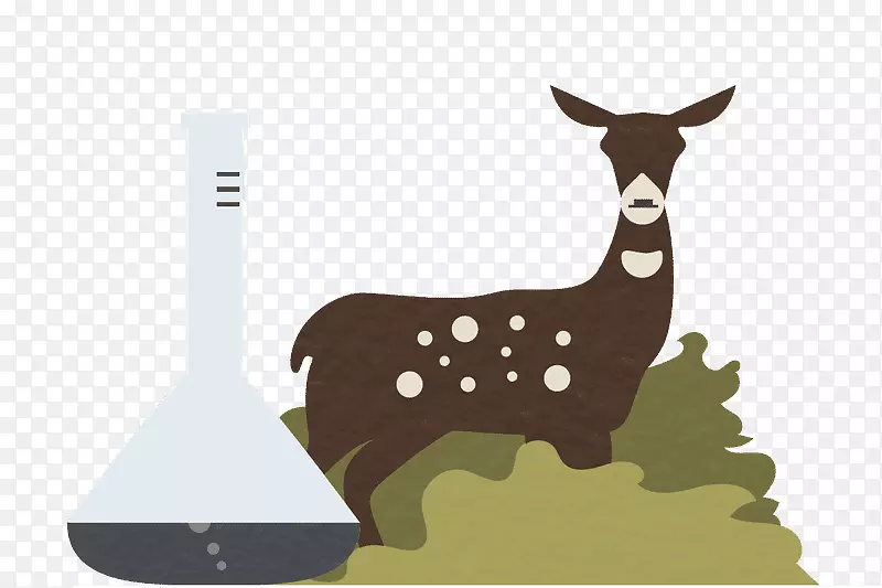 �������ѧ�뼼����ѧ��Ϣ��ѧ���μ���-������