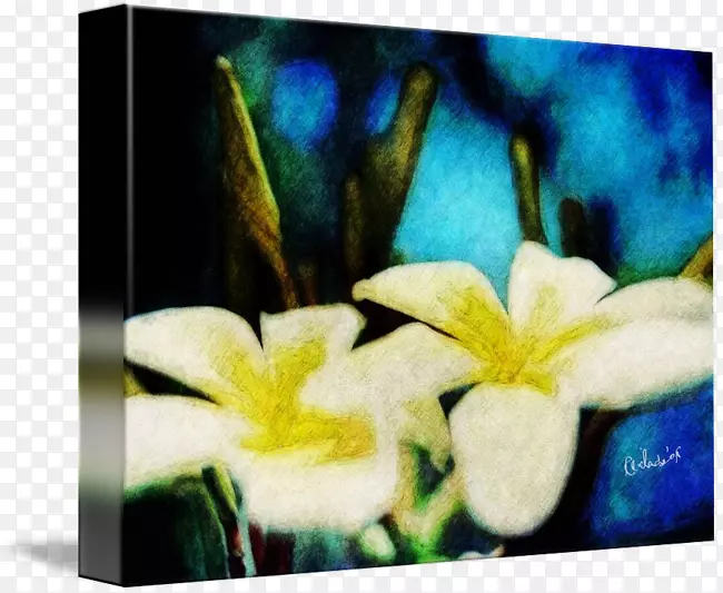 ���껨�ִ���������ֲ��-������