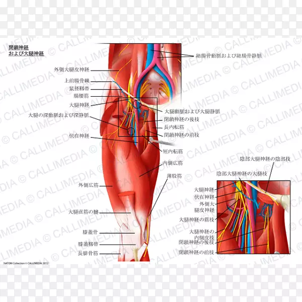 �տ�����տ׼������ڱտ׼���ϵͳ-������