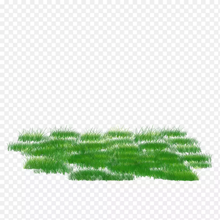 .net-sa KJ Gardiner-������