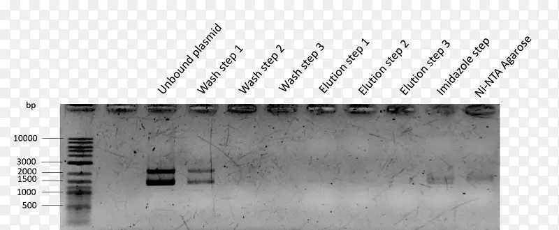 �߽ǰ�ɫƷ��������-������