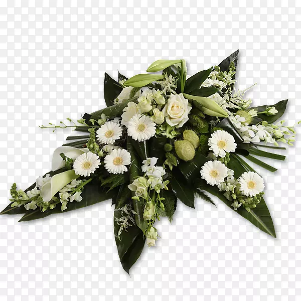 ��������л�����-������