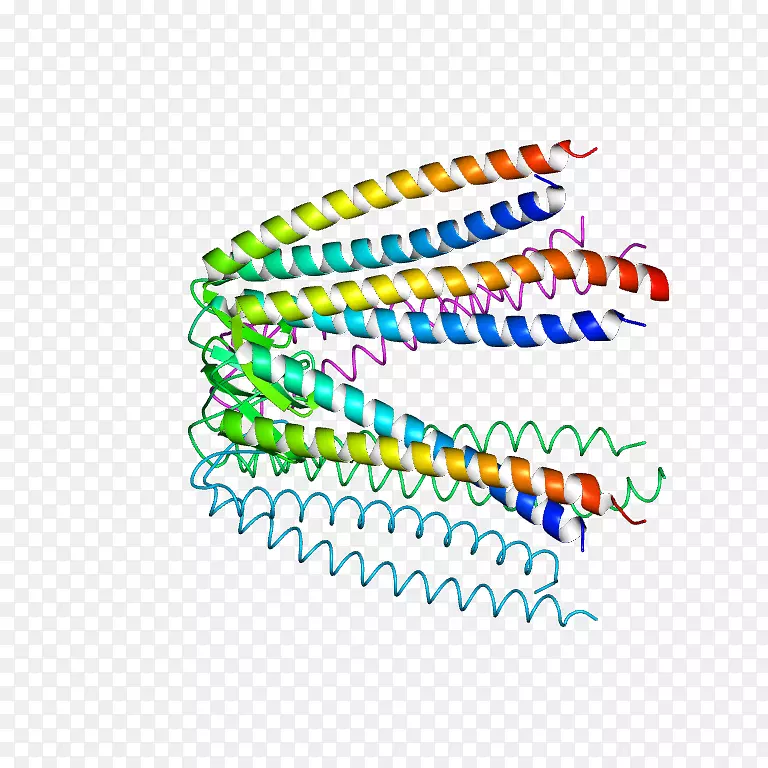 ��־�ߵ�������-������