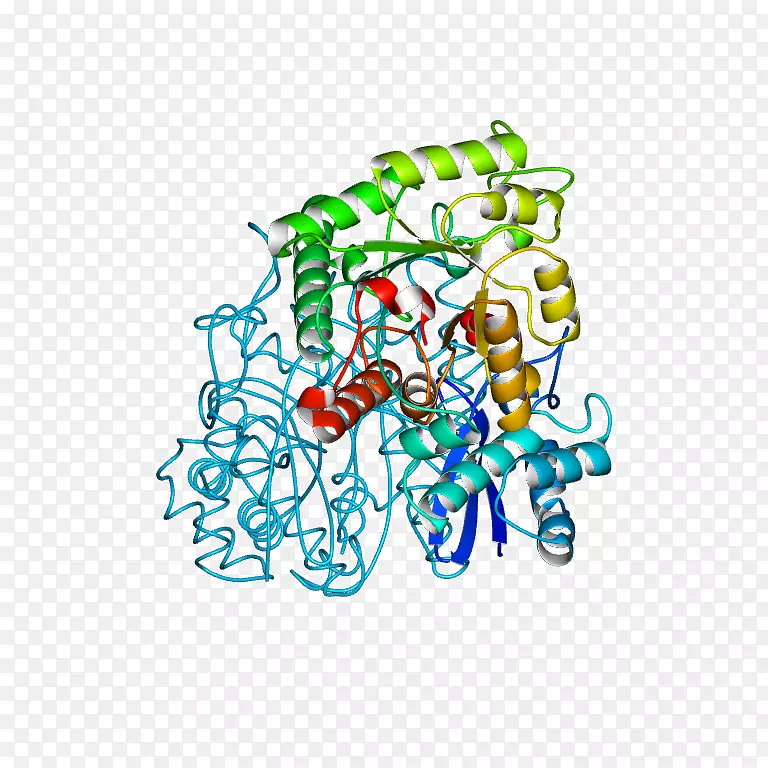 �ߵ������-��-������