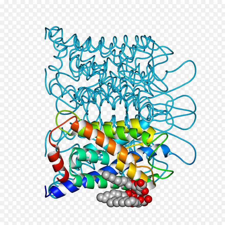 ������Ϊ�ߵ��������-������