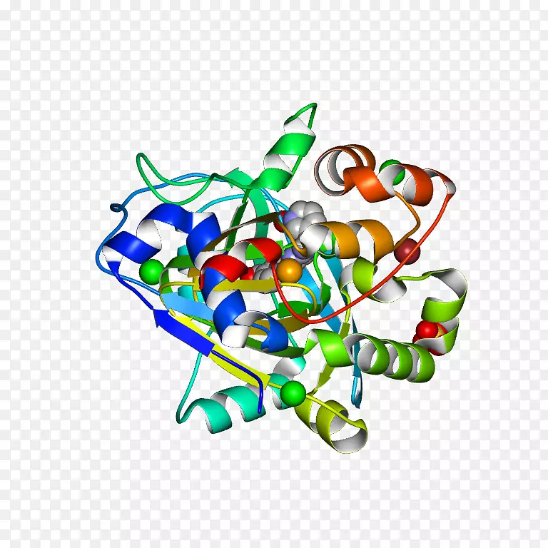 ���������鱦ϵ�м������鱦����-������