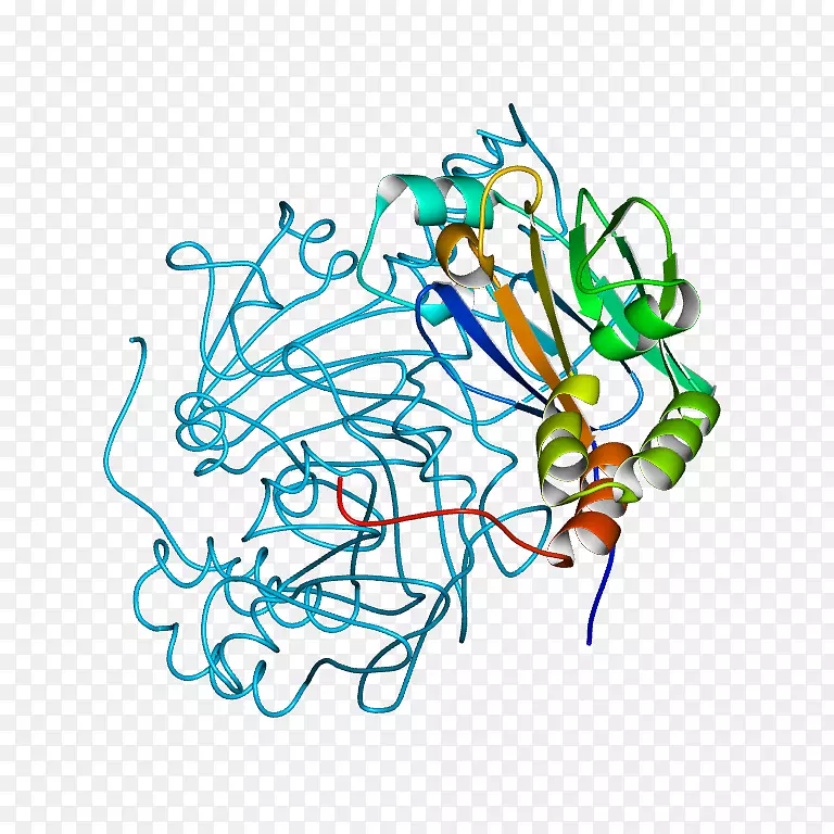 �ߵ������-��-������