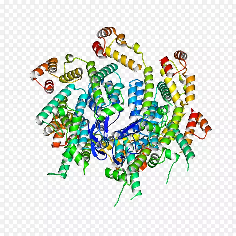 �ߵ������-��-������