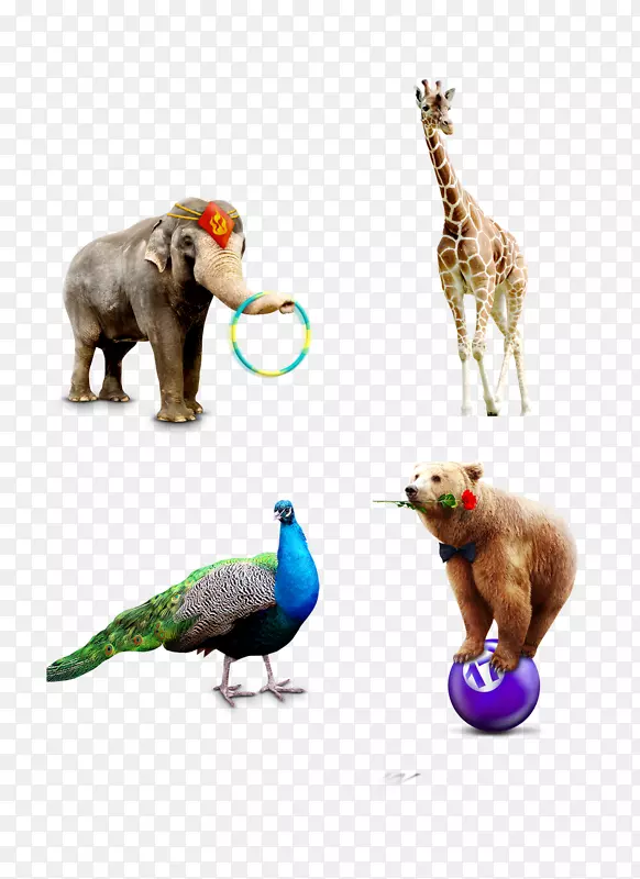 ��������-������