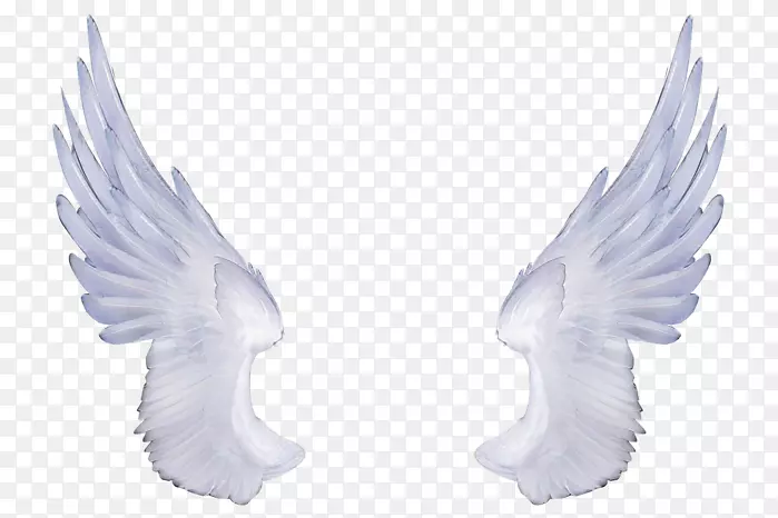 ��������-������