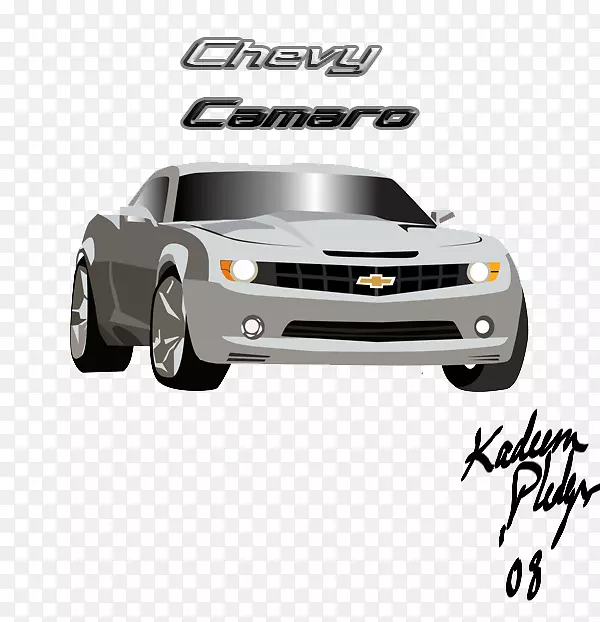 �������ոܳ��������������-������