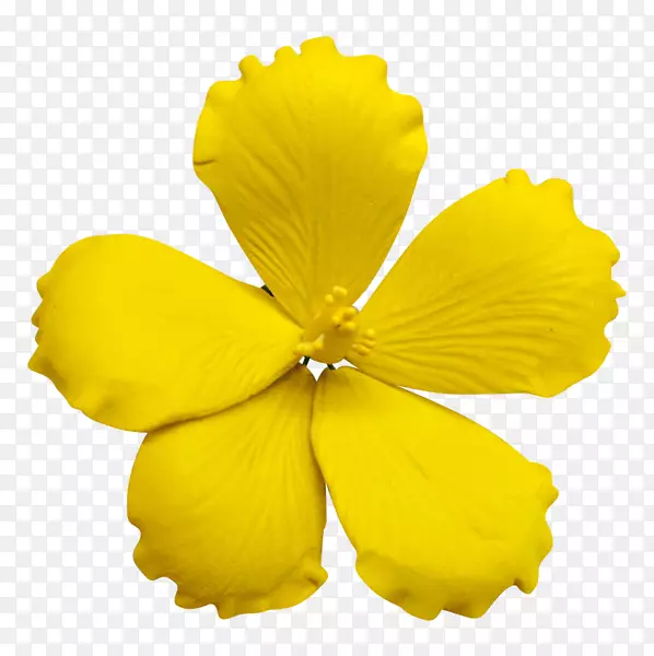 ���񵰸����յ����Ǻ����ǵ���װ��-��ɫ����-������