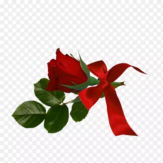 ��԰õ�廨������л�-������