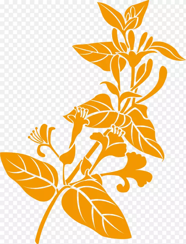 ҩ��ֲ���в�ҩ-������