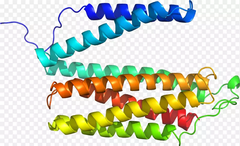 �鱦����-������