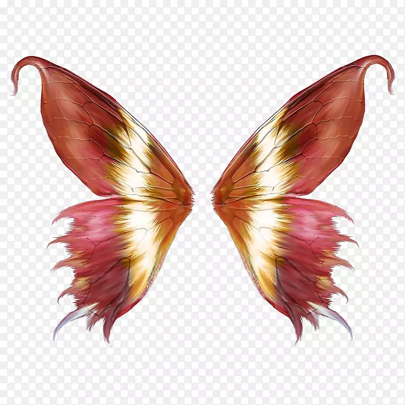 �ۺ�������-������