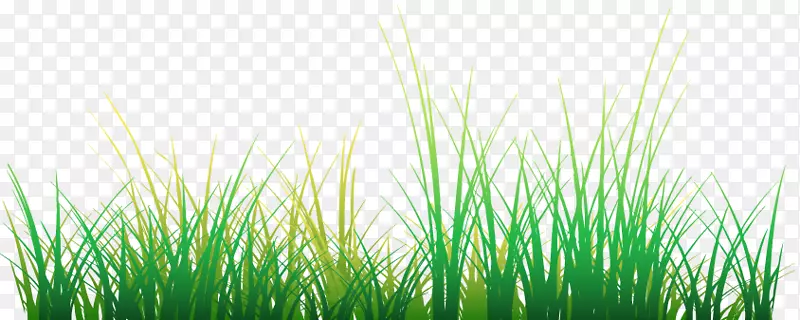 AdobeFlashPlayer��ƺ������-������