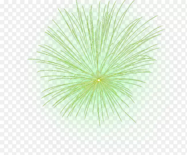 ��ɫ����-�̻�-������