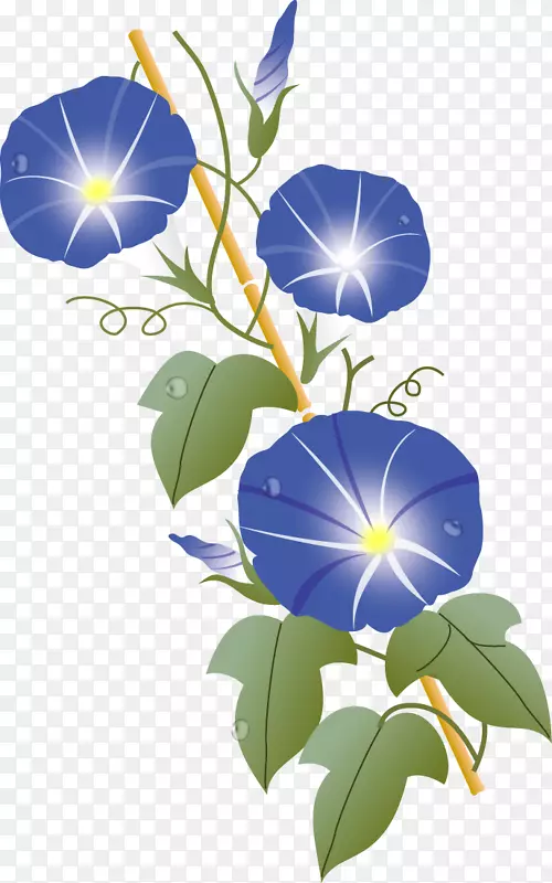 ����Ҋ�褤����-��һ�ΰ�-������